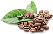 Koffein